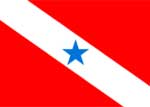Bandeira do Par�