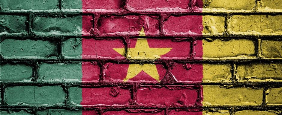 Sele��o de Camar�es na Copa do Mundo de Futebol de 2022 no Catar (Qatar)