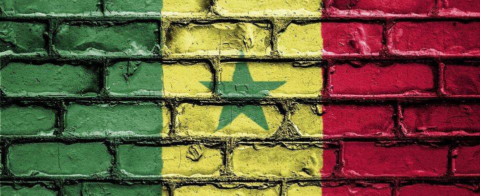 Sele��o do Senegal na Copa do Mundo de Futebol de 2022 no Catar (Qatar)