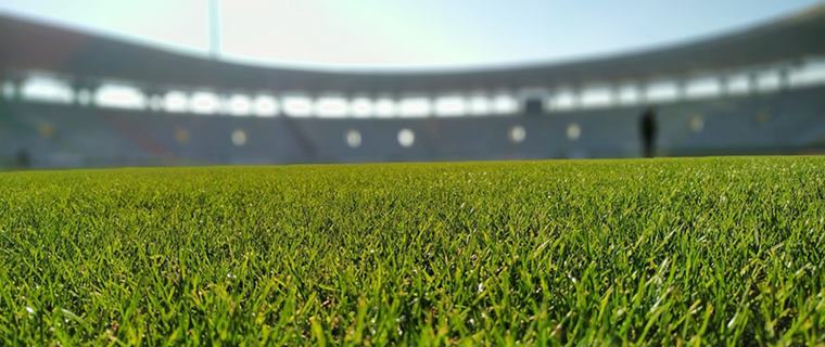 Copa Libertadores da Am�rica de 2021