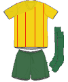 Uniforme 2 da sele��o de Camar�es